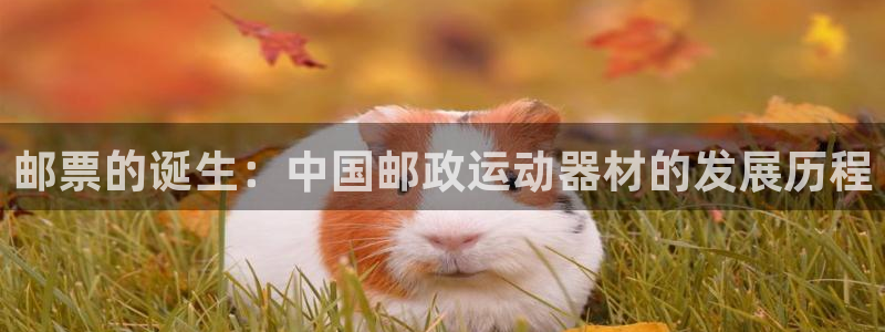 征途国际集团简介:邮票的诞生:中国邮政运动器材的发展历程