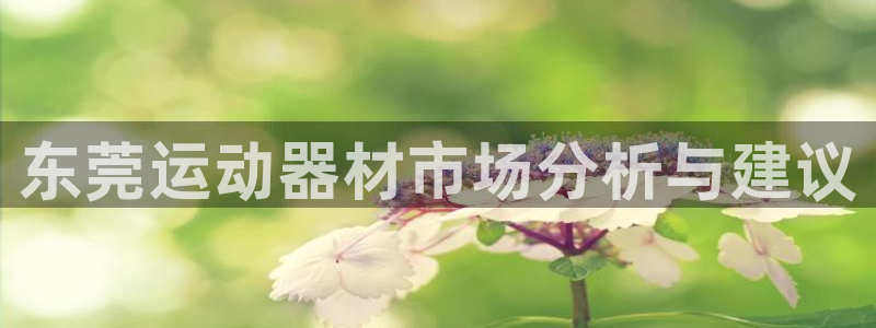 征途国际平台APP:东莞运动器材市场分析与建议